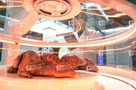 Presse Preview von 'Jurassic World: The Exhibition' in Berlin