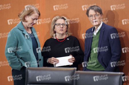 83. Sitzung des Bundeskabinetts in Berlin