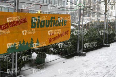 Symbolfoto Weihnachtsbaumverkauf