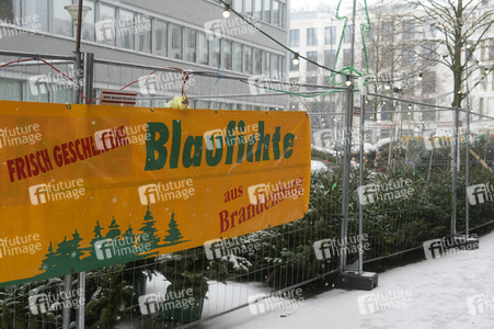 Symbolfoto Weihnachtsbaumverkauf