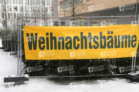 Symbolfoto Weihnachtsbaumverkauf