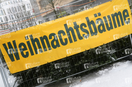 Symbolfoto Weihnachtsbaumverkauf