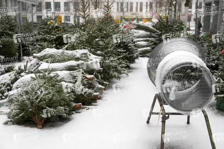 Symbolfoto Weihnachtsbaumverkauf