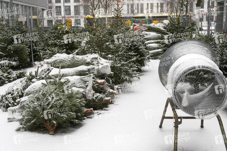 Symbolfoto Weihnachtsbaumverkauf
