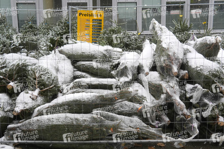 Symbolfoto Weihnachtsbaumverkauf