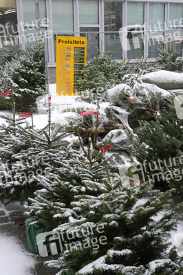 Symbolfoto Weihnachtsbaumverkauf