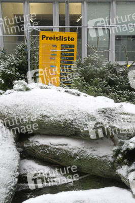 Symbolfoto Weihnachtsbaumverkauf