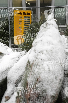Symbolfoto Weihnachtsbaumverkauf