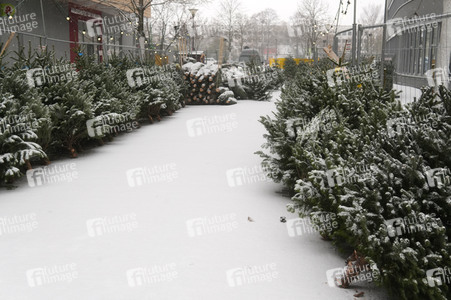 Symbolfoto Weihnachtsbaumverkauf