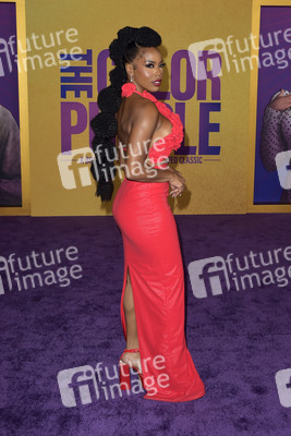 Filmpremiere 'The Color Purple' in Los Angeles