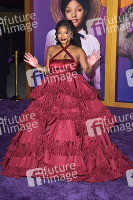 Filmpremiere 'The Color Purple' in Los Angeles
