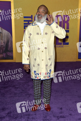 Filmpremiere 'The Color Purple' in Los Angeles