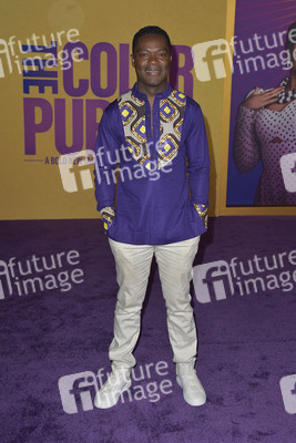 Filmpremiere 'The Color Purple' in Los Angeles