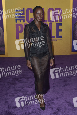 Filmpremiere 'The Color Purple' in Los Angeles