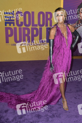 Filmpremiere 'The Color Purple' in Los Angeles