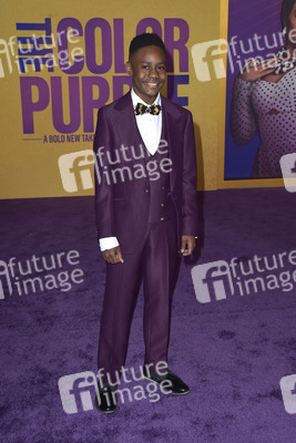 Filmpremiere 'The Color Purple' in Los Angeles
