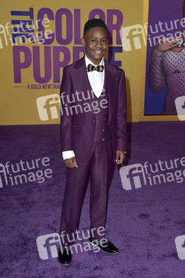 Filmpremiere 'The Color Purple' in Los Angeles