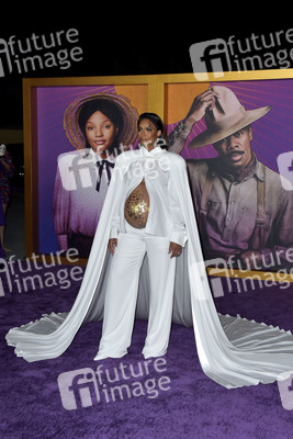 Filmpremiere 'The Color Purple' in Los Angeles
