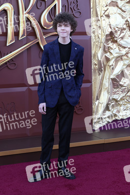 Filmpremiere 'Wonka' in Los Angeles