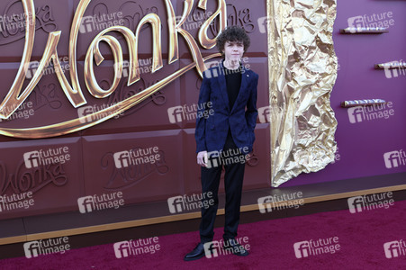 Filmpremiere 'Wonka' in Los Angeles