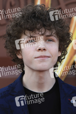 Filmpremiere 'Wonka' in Los Angeles