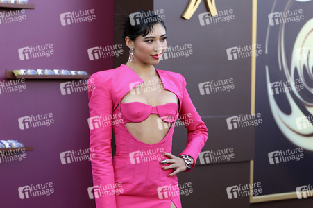 Filmpremiere 'Wonka' in Los Angeles