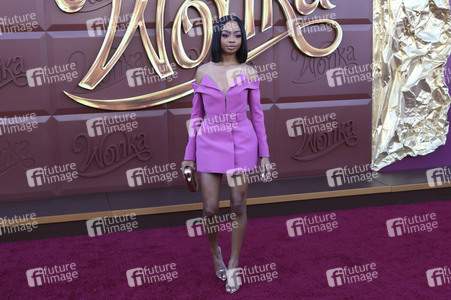 Filmpremiere 'Wonka' in Los Angeles