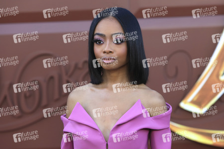 Filmpremiere 'Wonka' in Los Angeles