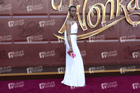 Filmpremiere 'Wonka' in Los Angeles