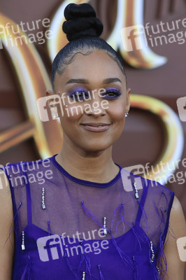 Filmpremiere 'Wonka' in Los Angeles