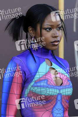 Filmpremiere 'Wonka' in Los Angeles