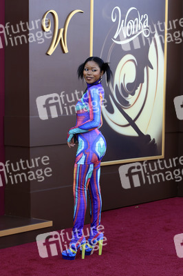 Filmpremiere 'Wonka' in Los Angeles