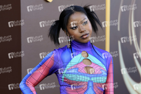 Filmpremiere 'Wonka' in Los Angeles