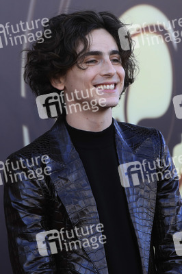 Filmpremiere 'Wonka' in Los Angeles