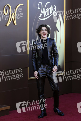 Filmpremiere 'Wonka' in Los Angeles