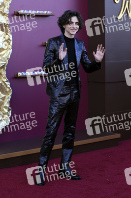 Filmpremiere 'Wonka' in Los Angeles