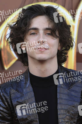 Filmpremiere 'Wonka' in Los Angeles