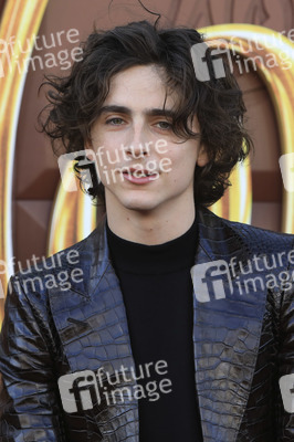 Filmpremiere 'Wonka' in Los Angeles