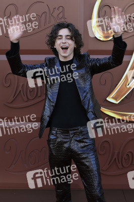 Filmpremiere 'Wonka' in Los Angeles