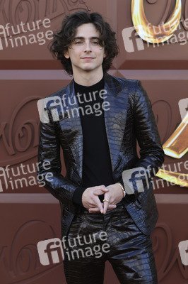 Filmpremiere 'Wonka' in Los Angeles