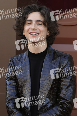 Filmpremiere 'Wonka' in Los Angeles