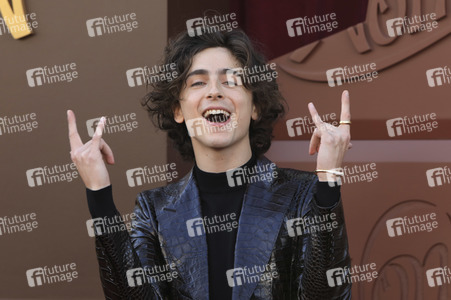 Filmpremiere 'Wonka' in Los Angeles