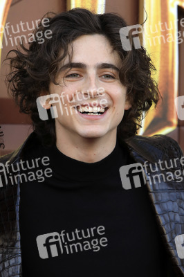 Filmpremiere 'Wonka' in Los Angeles