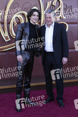 Filmpremiere 'Wonka' in Los Angeles