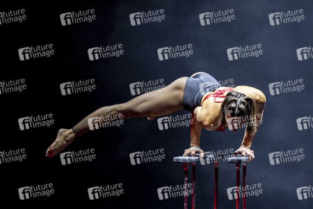 Weihnachstshow von Circus FlicFlac in Erfurt