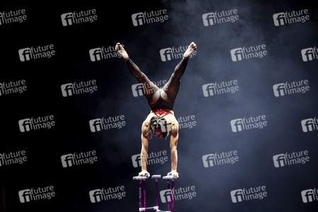 Weihnachstshow von Circus FlicFlac in Erfurt