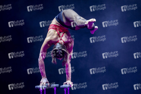Weihnachstshow von Circus FlicFlac in Erfurt