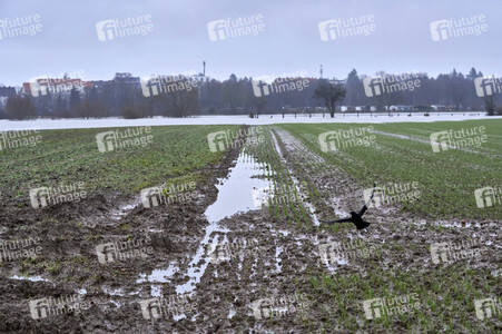 Dauerregen und Hochwasser in der Region Hannover