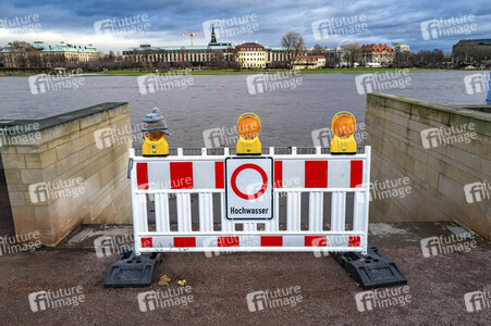 Hochwasser in Dresden
