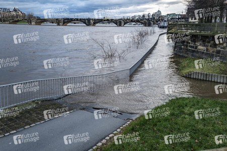 Hochwasser in Dresden